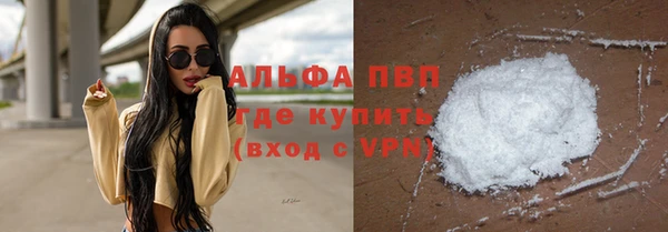 стаф Ладушкин