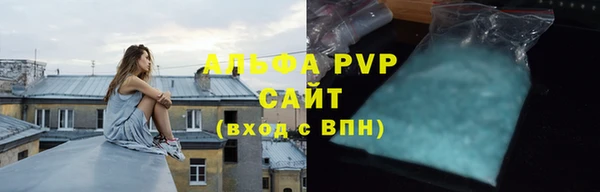 стаф Ладушкин