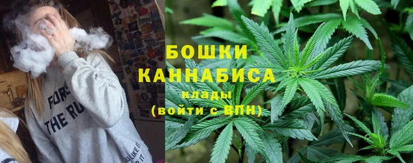 стаф Ладушкин