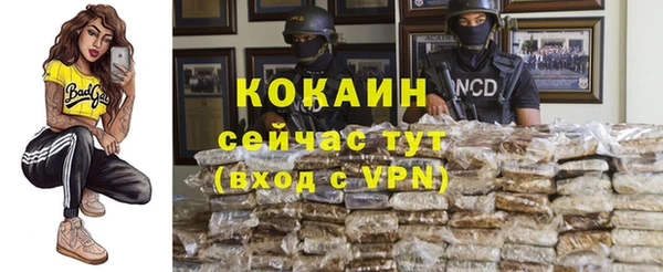 стаф Ладушкин