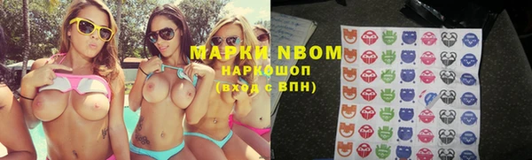 стаф Ладушкин